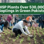 BISP Plants Over 530,000 Saplings in Green Pakistan