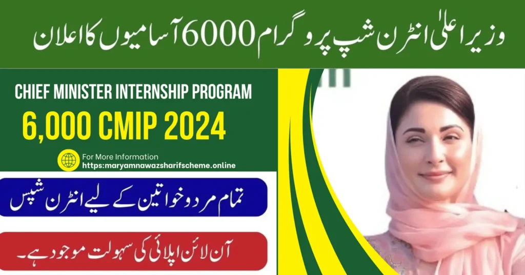 Chief Minister Internship Program